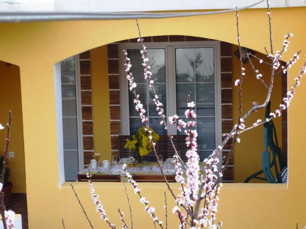 Apartments Brac Supetar Szoba fotó